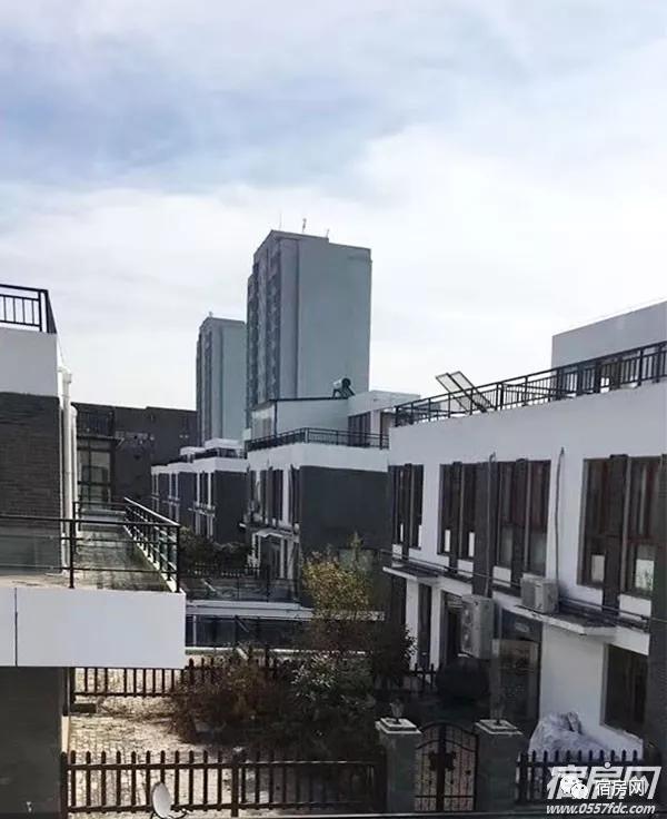 恒馨13.jpg